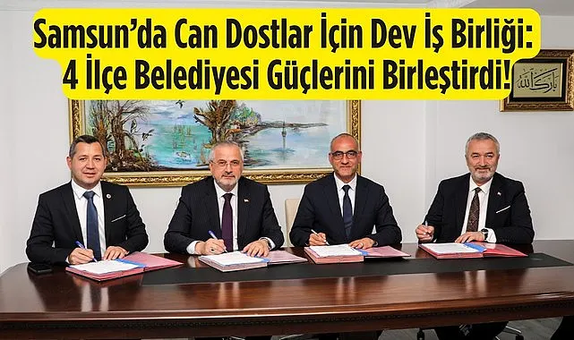 Samsun’da 4 İlçe Belediyesi güçlerini can dostlar için birleştirdi!