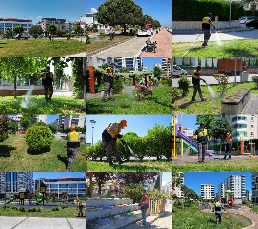 Büyükşehir Belediyesi Samsun'da vektörlerle mücadele ediyor