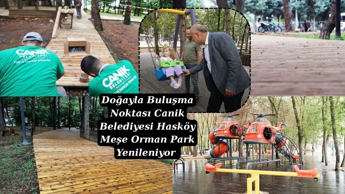 Canik Belediyesi Hasköy Meşe Orman Park Yenileniyor