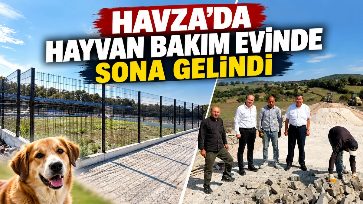 Havza'da hayvan bakım evinde sona gelindi