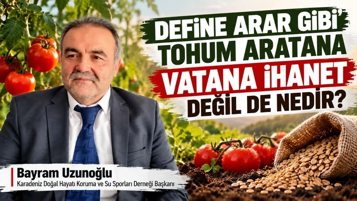 Define Arar Gibi Tohum Aratana Vatana İhanet Değil de Nedir?
