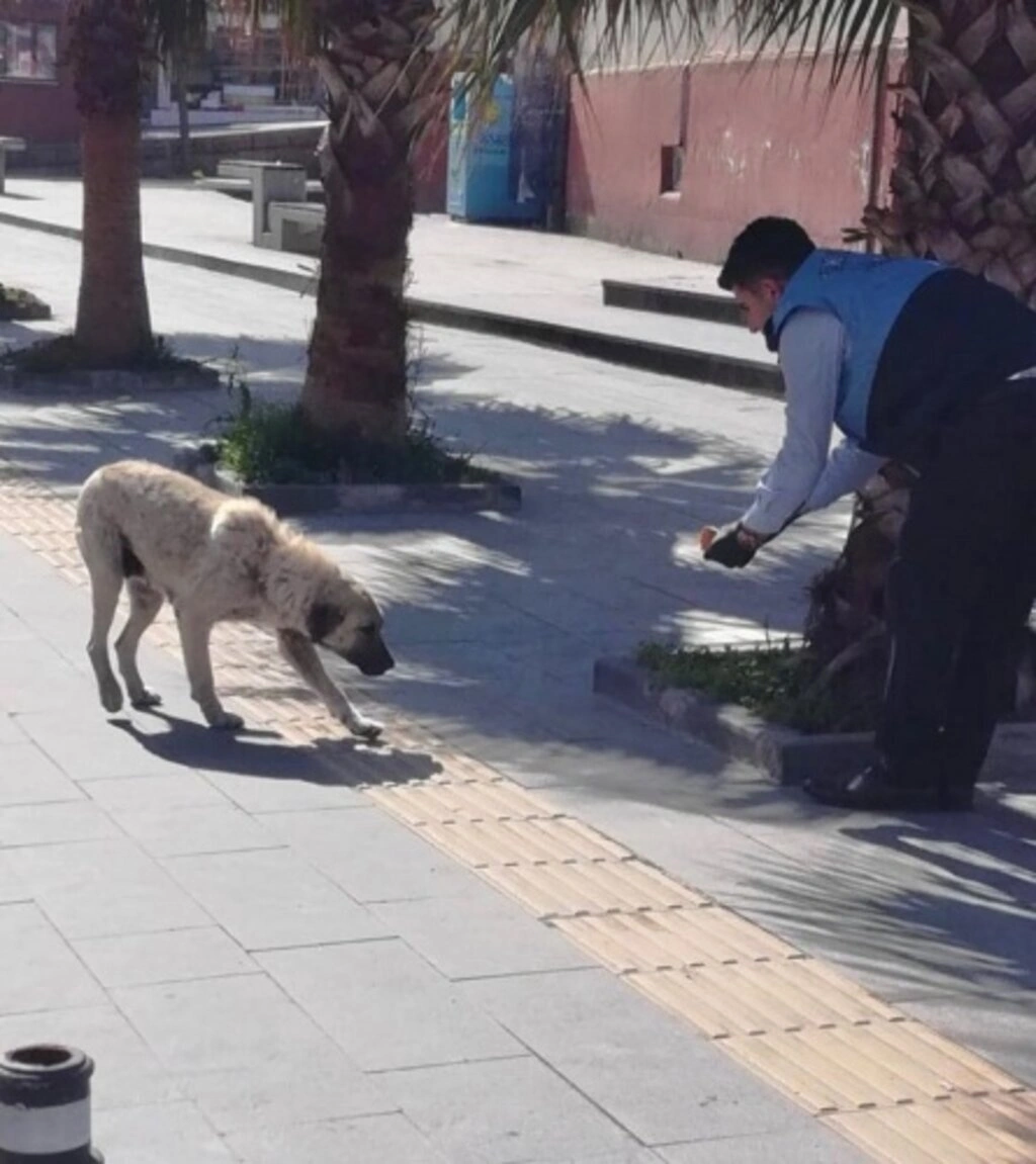Tekkeköy Belediyesi yasak uygulamasında da boş durmadı!