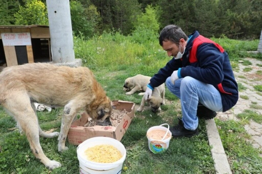 İlkadım'da Tüm Ekipler Sahada