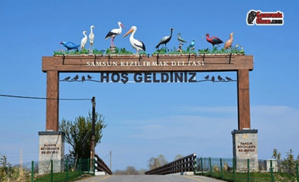 Dünya Mirası Kızılırmak Deltası'nı Gezmek Artık Daha Eğlenceli