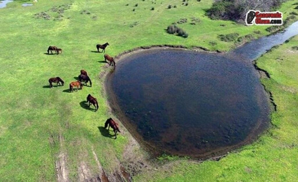 Dünya Mirası Kızılırmak Deltası'nı Gezmek Artık Daha Eğlenceli