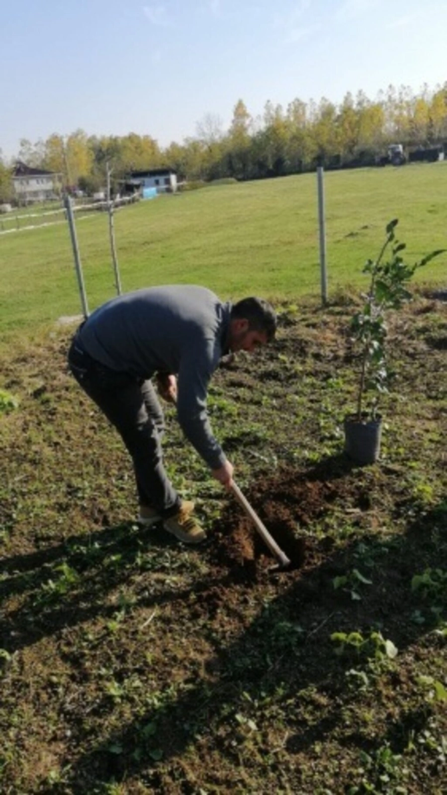 Şimşekler Taraftar Gruplar Birliği bin 500 fidan dikti