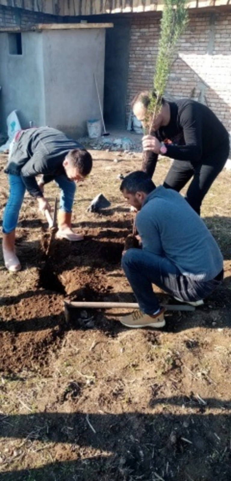 Şimşekler Taraftar Gruplar Birliği bin 500 fidan dikti