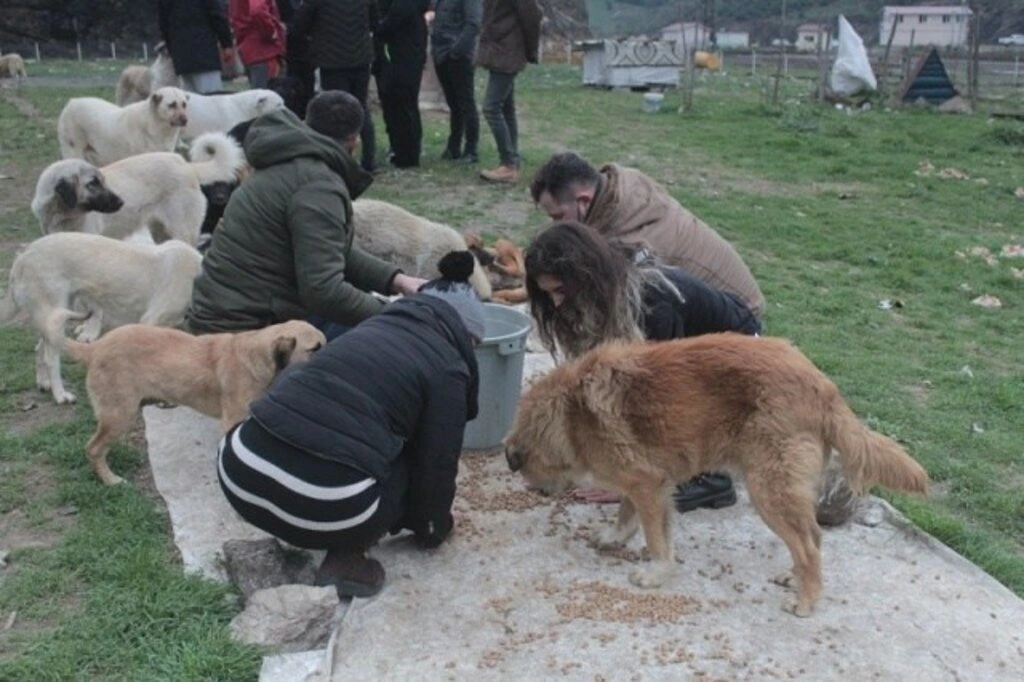 Sevdamız Samsun'dan 'Bir kap su bir kapak yemek’ kampanyasına destek