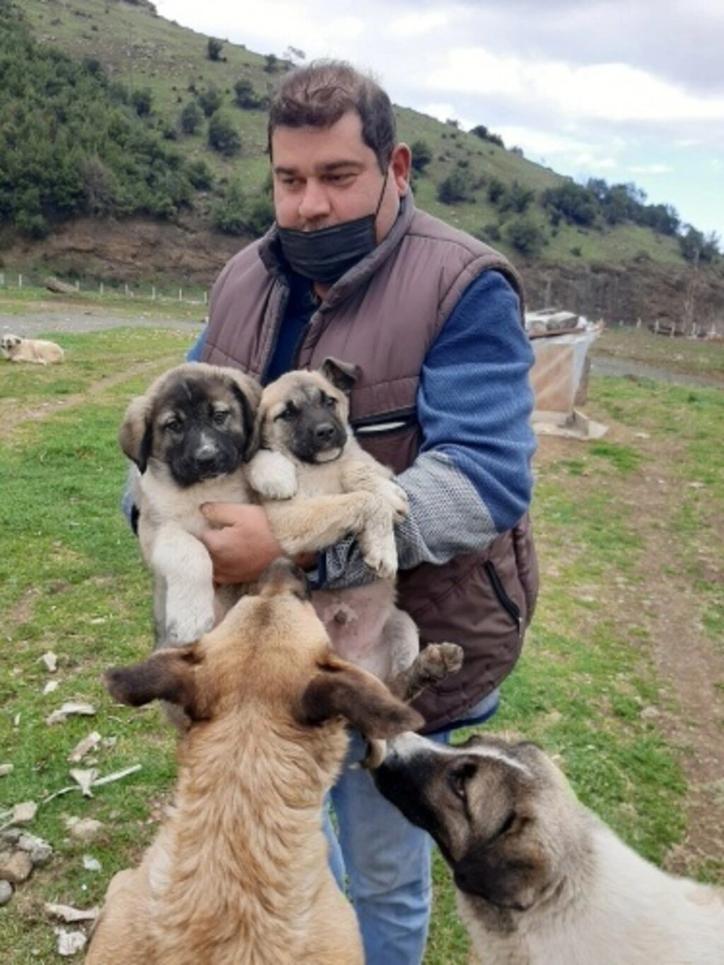 Canik Hayvan Severler Derneği can dostlarına yeni yuvalar kazandırıyor