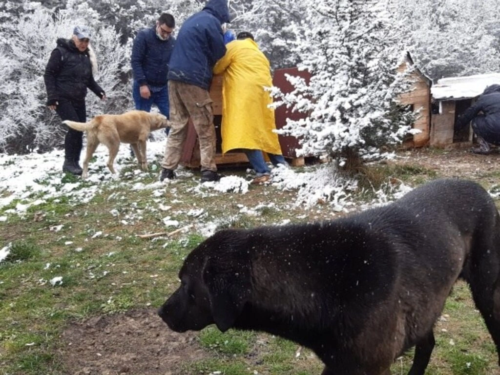 Ekolojik Yaşam Bisiklet Derneği'nden Orman Çocuklarına Kulübe