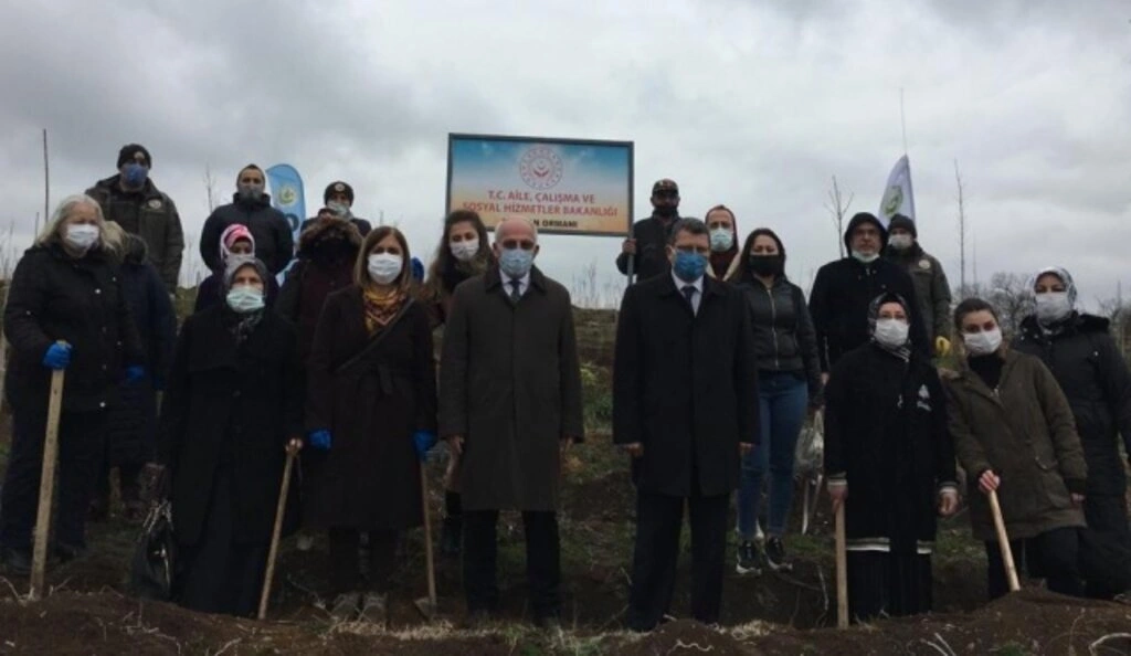 Mercan Hatıra Ormanı Fidan Dikim Etkinliği - Samsun Haber