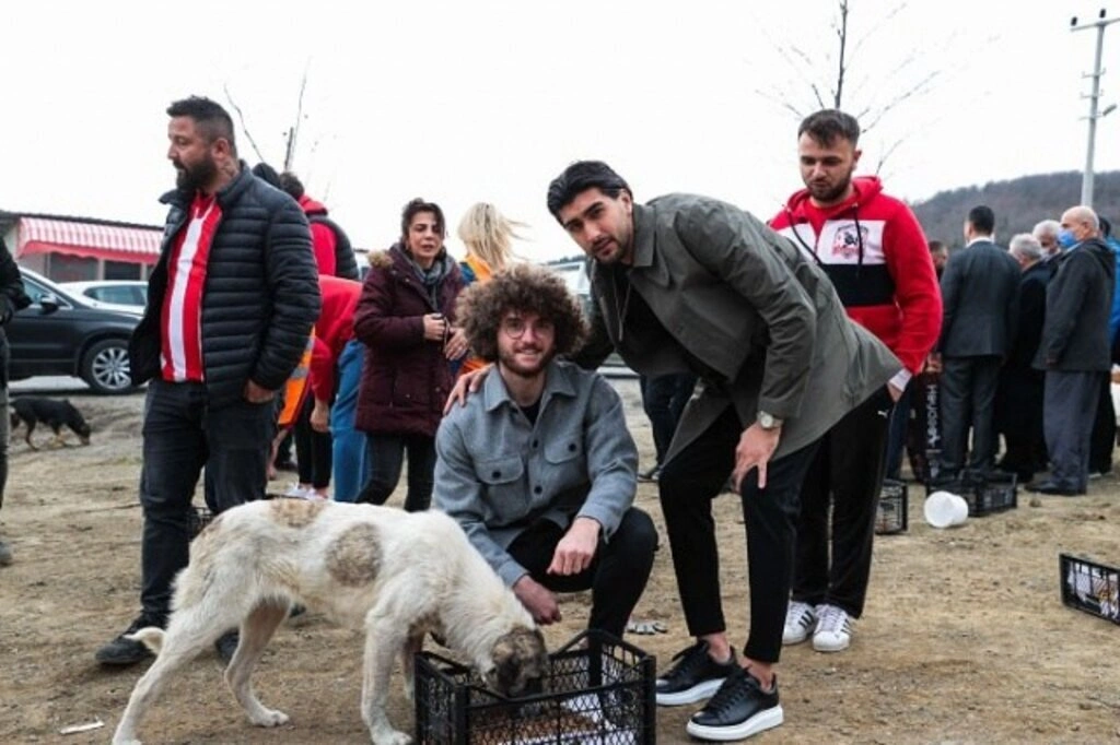 Samsunsporlu sporcular sokak canlılarını besledi
