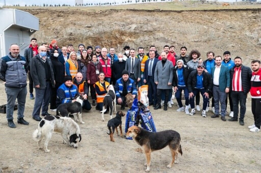 Samsunsporlu sporcular sokak canlılarını besledi