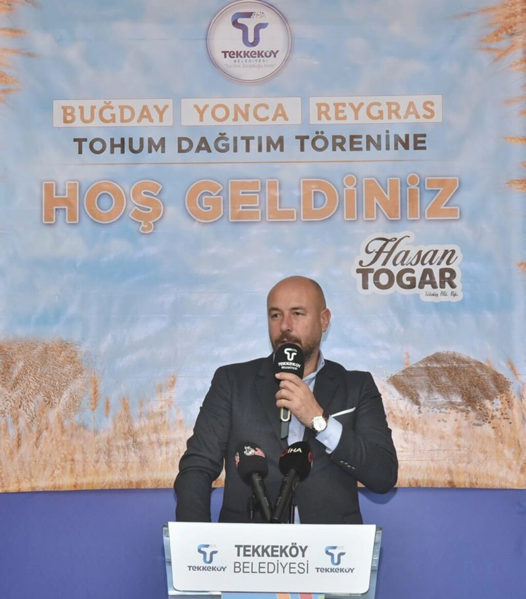 Tekkeköy’de çiftçilere buğday, yonca ve reygras tohumu dağıtıldı