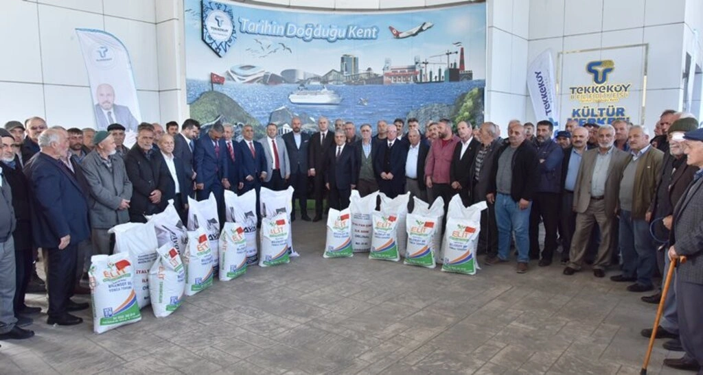 Tekkeköy’de çiftçilere buğday, yonca ve reygras tohumu dağıtıldı