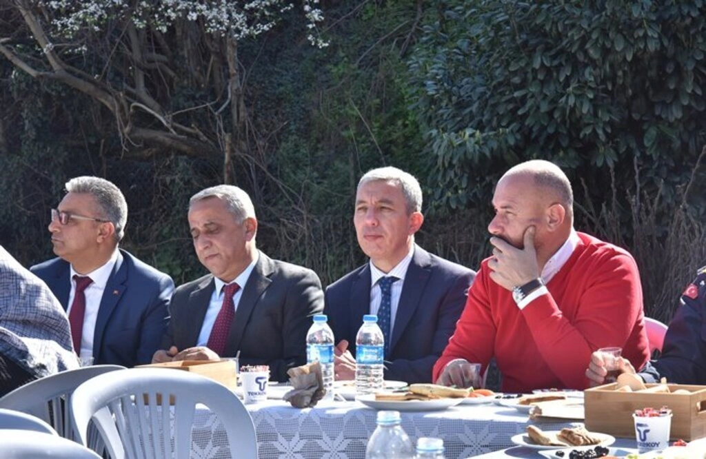 Tekkeköy'de çiftçilere mor patlıcan inciri fidanı dağıtıldı