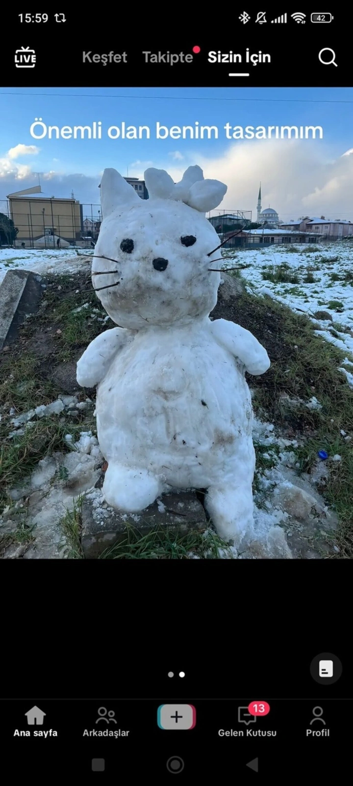 Samsun'da Kar Sanata Dönüştü: Birbirinden İlginç Kardan Adamlar