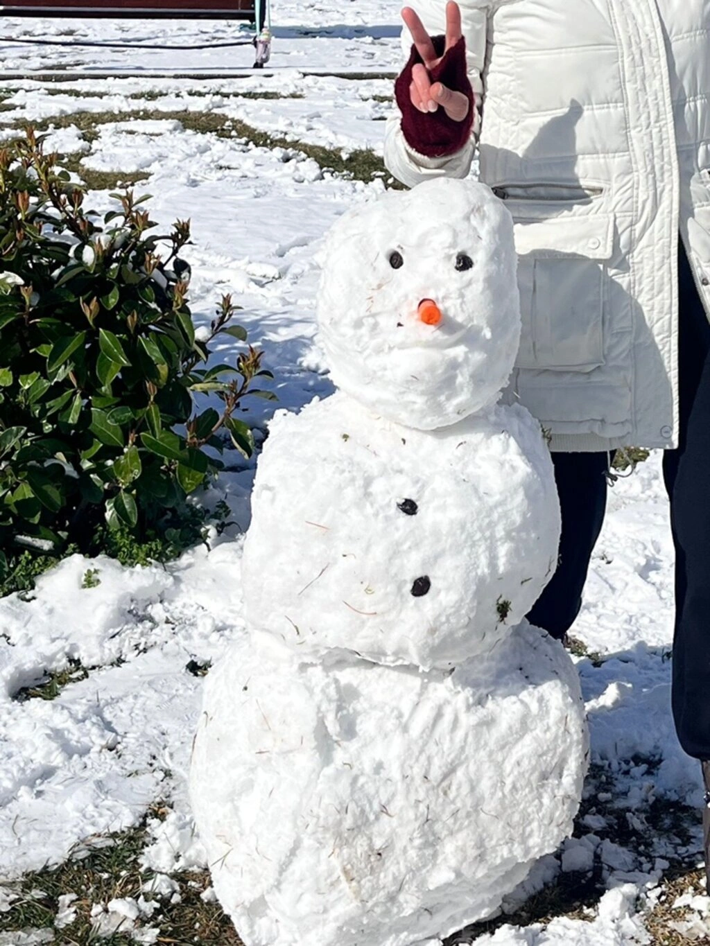 Samsun'da Kar Sanata Dönüştü: Birbirinden İlginç Kardan Adamlar