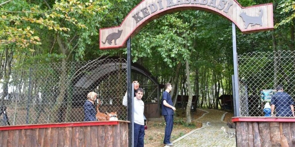 Samsun'da 4 Ekim Hayvanları Koruma Günü etkinliği