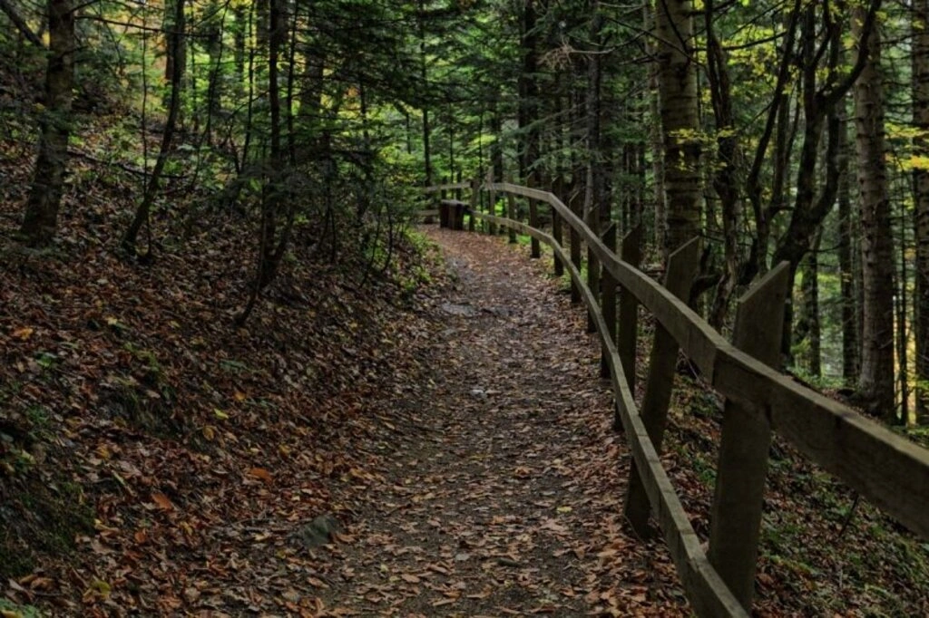 Karadeniz'de sonbahar bir başka güzel - Karadeniz'den sonbahar manzara fotoğrafları