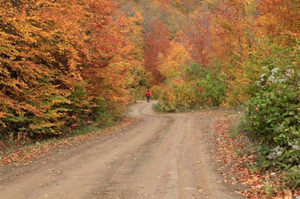 Karadeniz'de sonbahar bir başka güzel - Karadeniz'den sonbahar manzara fotoğrafları