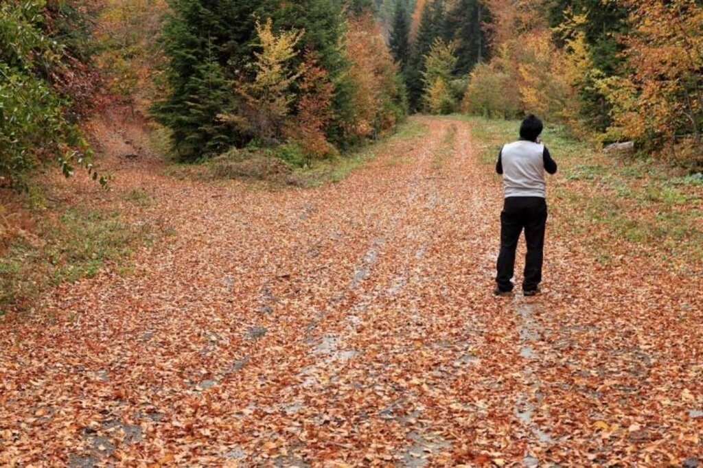 Karadeniz'de sonbahar bir başka güzel - Karadeniz'den sonbahar manzara fotoğrafları