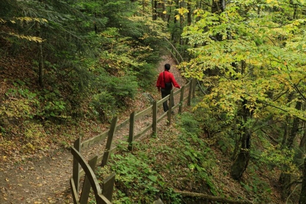 Karadeniz'de sonbahar bir başka güzel - Karadeniz'den sonbahar manzara fotoğrafları