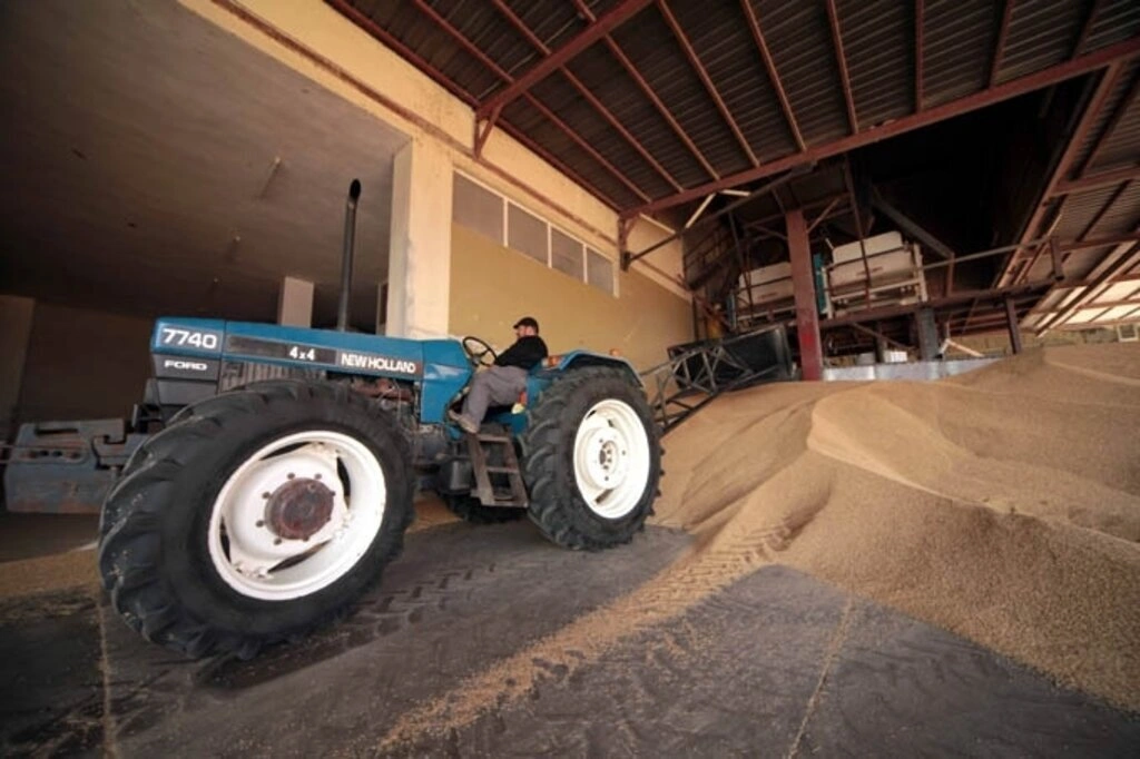Bataklıktan sofraya pirincin yolculuğu