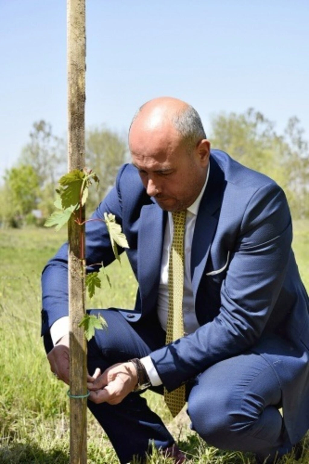 Tekkeköy'e bahar geldi, fidanlar toprakla buluştu