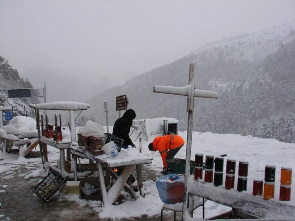 Karadeniz'den kar manzaraları , Zigana yine geçit veriyor...
