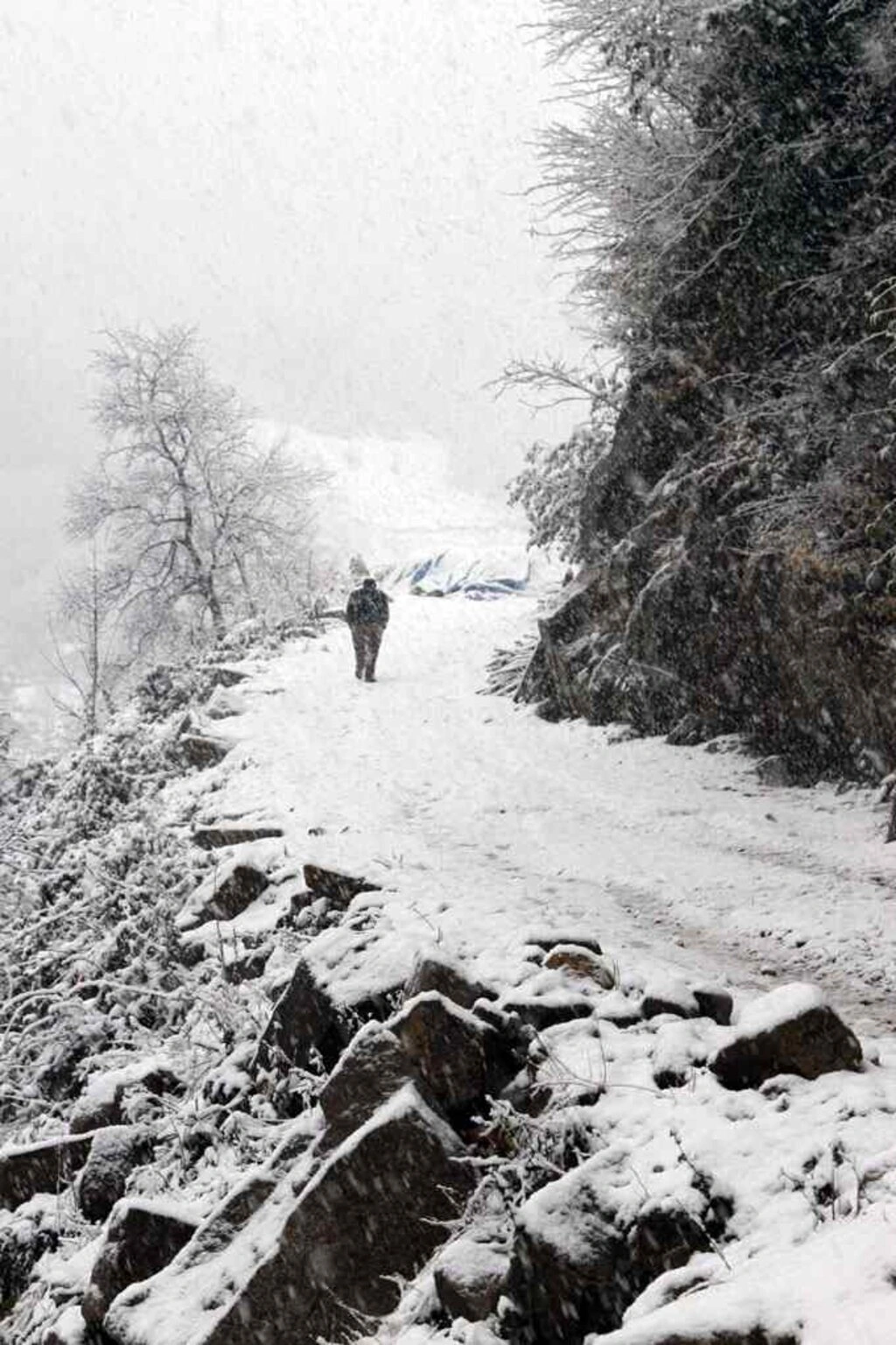 Karadeniz'den kar manzaraları , Zigana yine geçit veriyor...