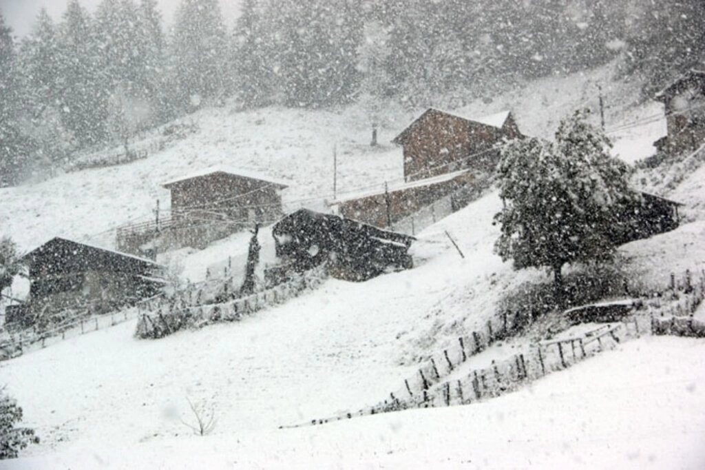 Karadeniz'den kar manzaraları , Zigana yine geçit veriyor...