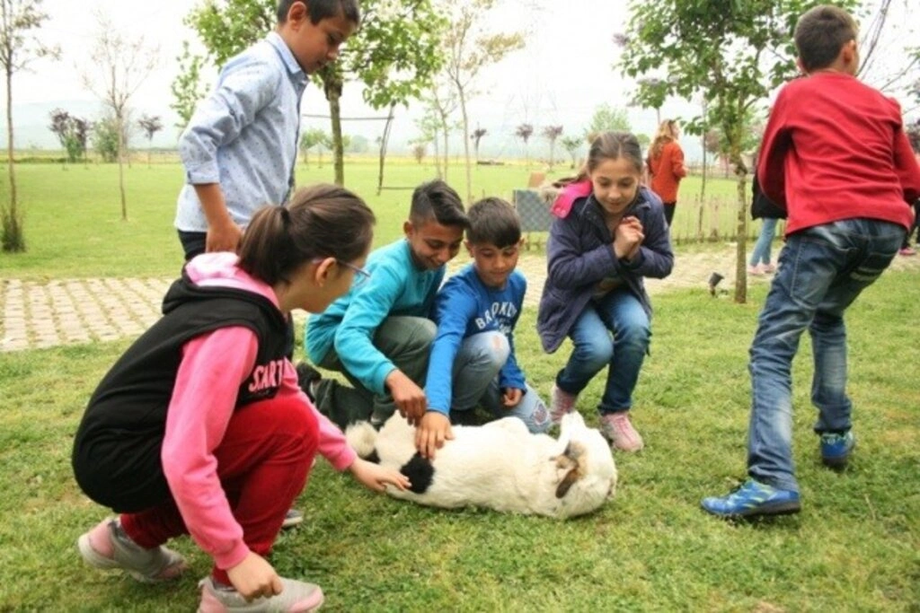Lider Çocuk Tarım Kampı 2019 gerçekleşti
