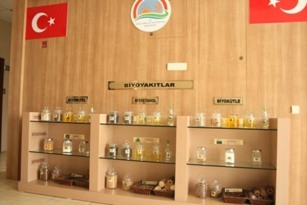 Lider Çocuk Tarım Kampı 2019 gerçekleşti