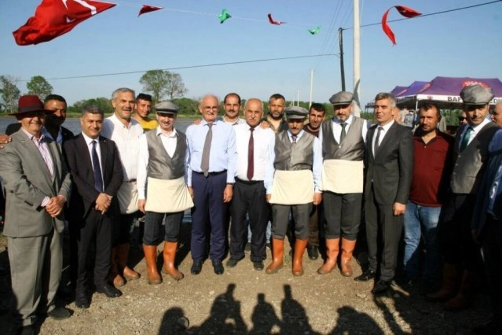 Bafra'da Geleneksel 5. Çeltik Ekimi Festivali yapıldı