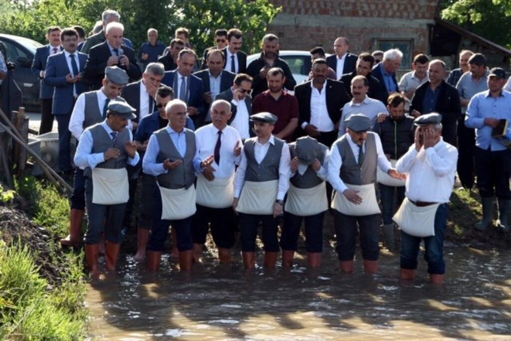 Bafra'da Geleneksel 5. Çeltik Ekimi Festivali yapıldı