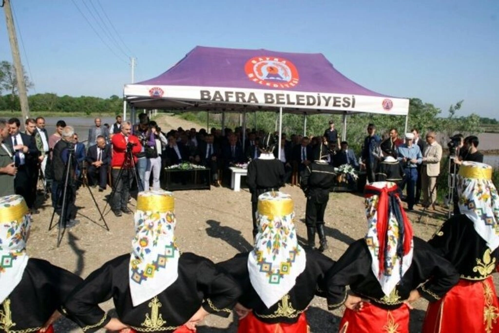 Bafra'da Geleneksel 5. Çeltik Ekimi Festivali yapıldı