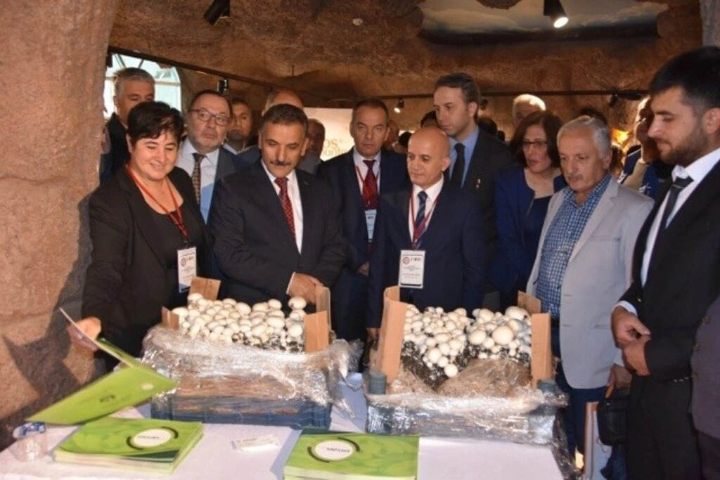 11. Yemeklik Mantar Kongresi Samsun'da Başladı
