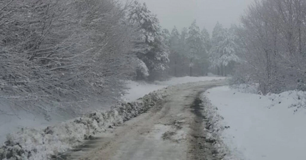 Samsun'da kar ile mücade başladı