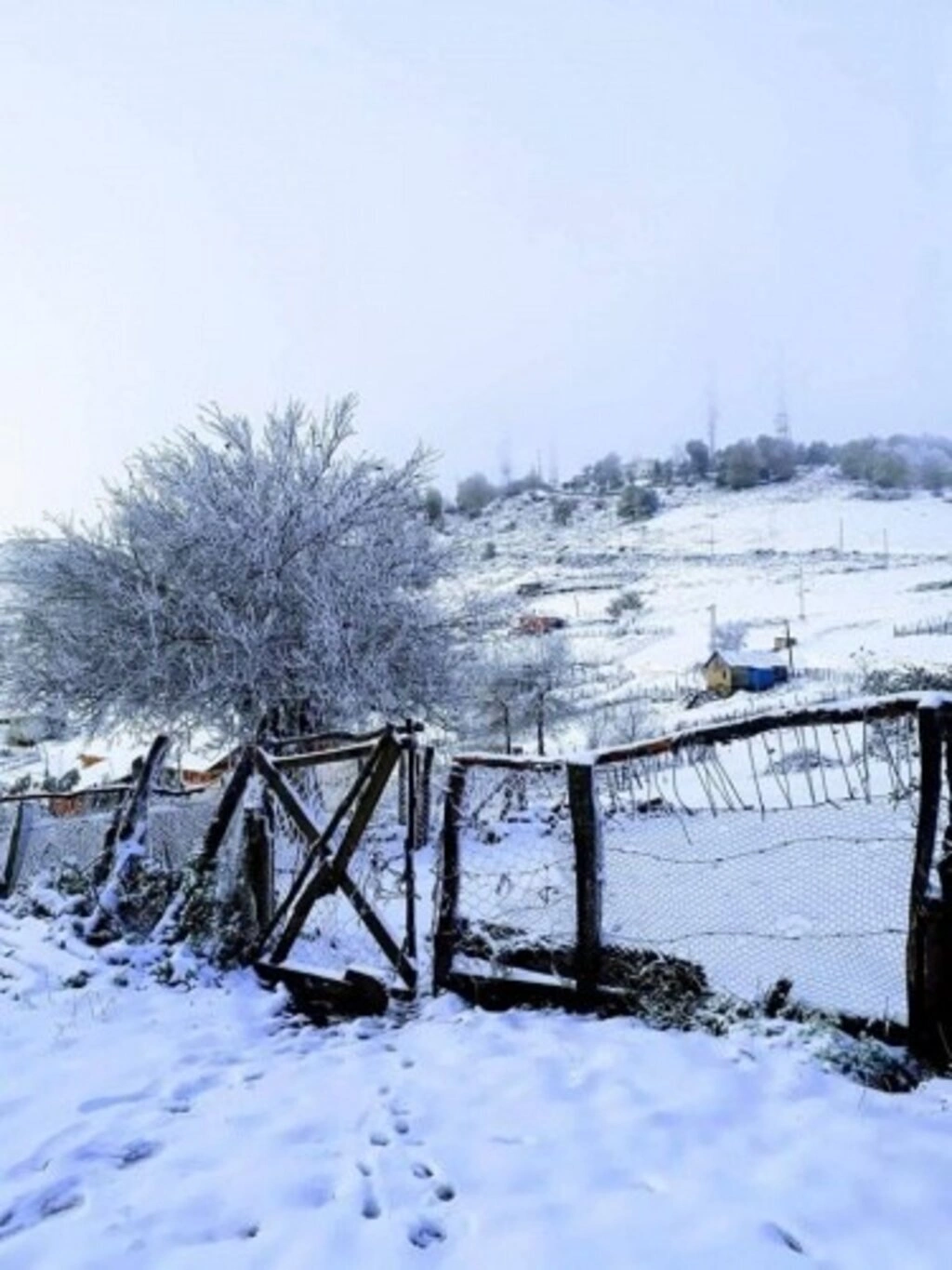 Samsun'da kar ile mücade başladı