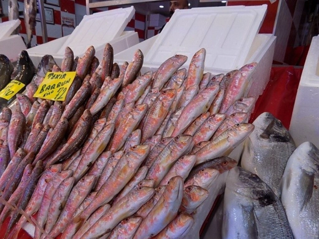 Samsun'da balık fiyatları