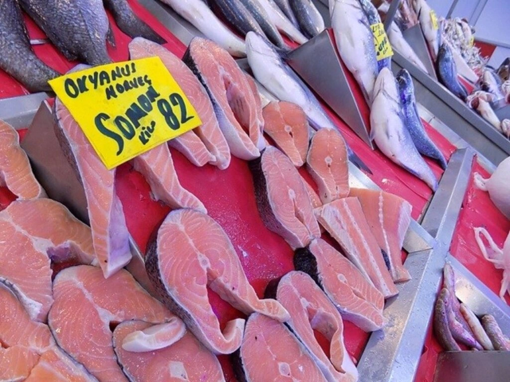 Samsun'da balık fiyatları