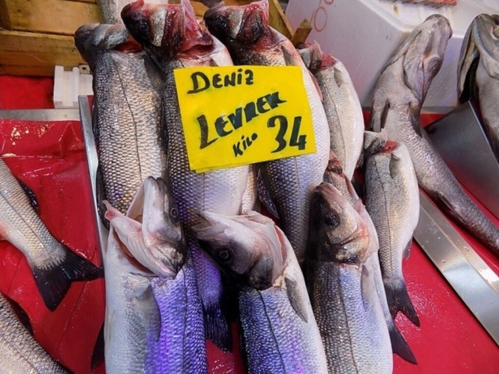 Samsun'da balık fiyatları