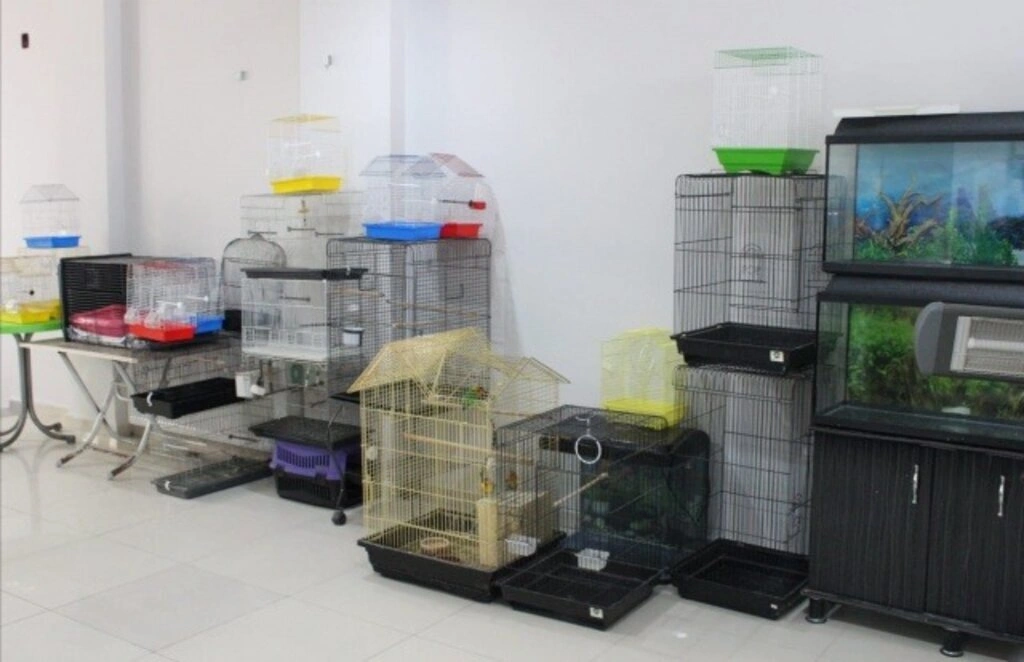 İz Kardelen Petshop Atakum'da