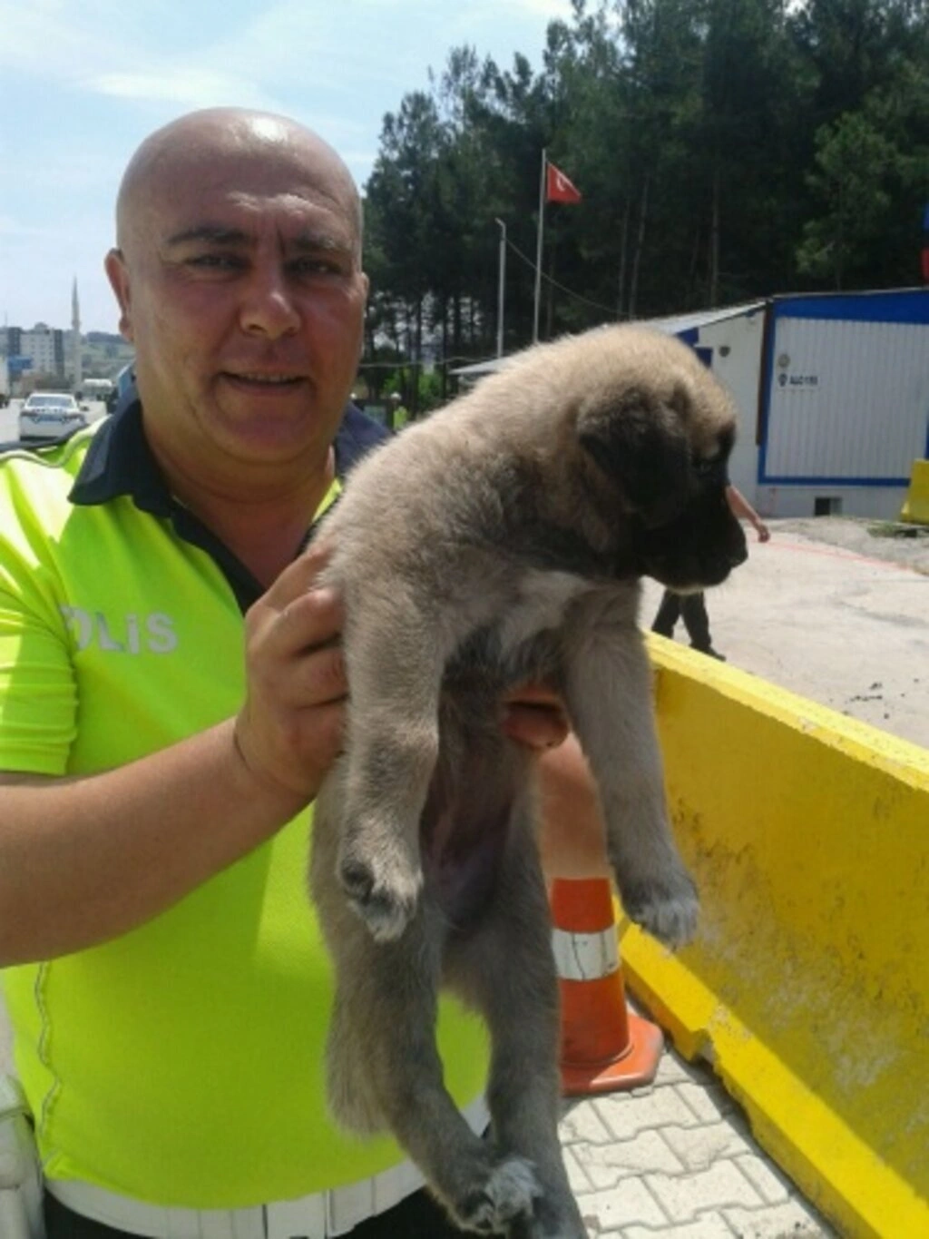 Sokak Hayvanları İçin Duyarlılık Çağrısı