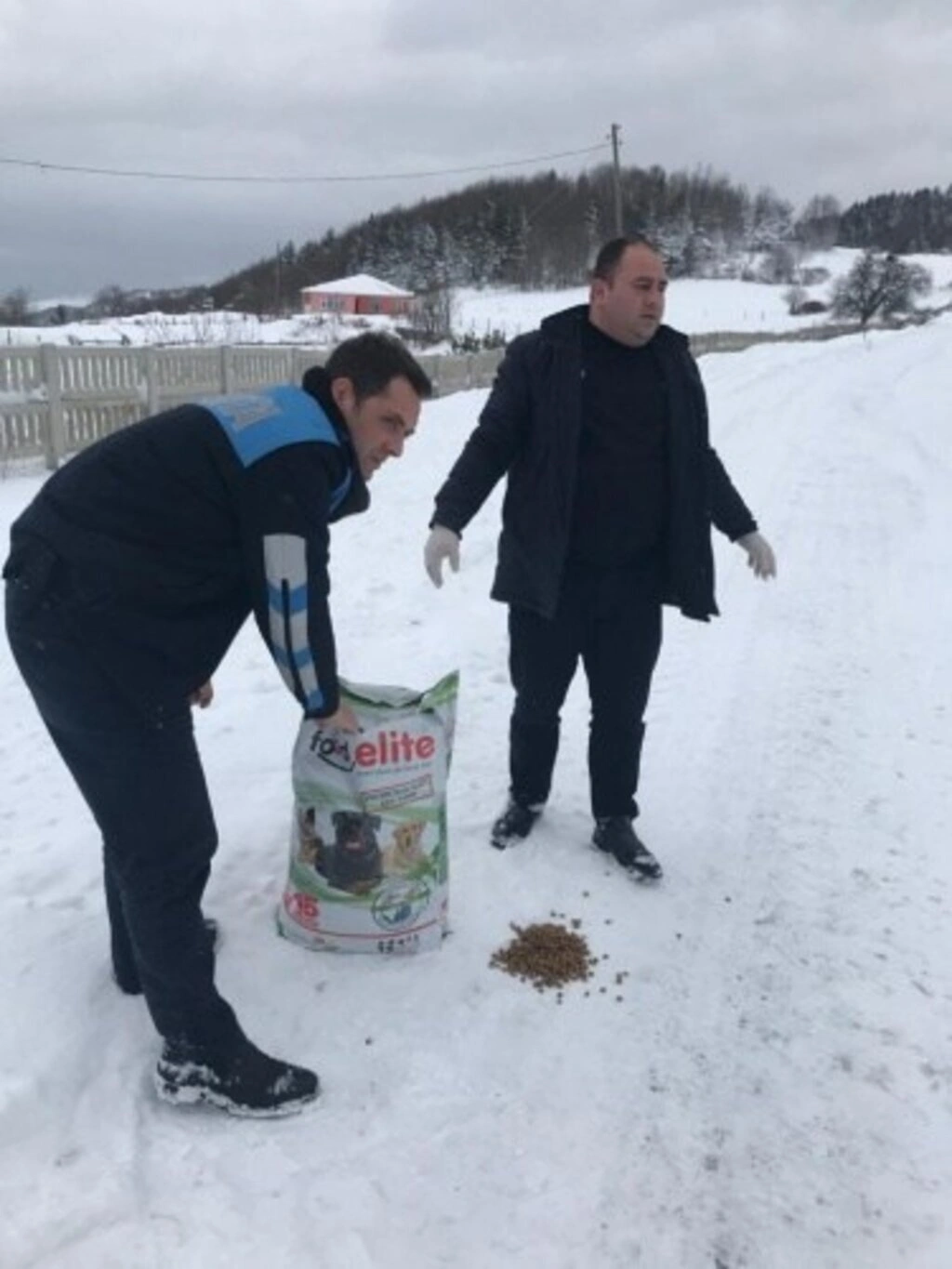 Alaçam Belediyesinden Sokak Hayvanlarına Yardım