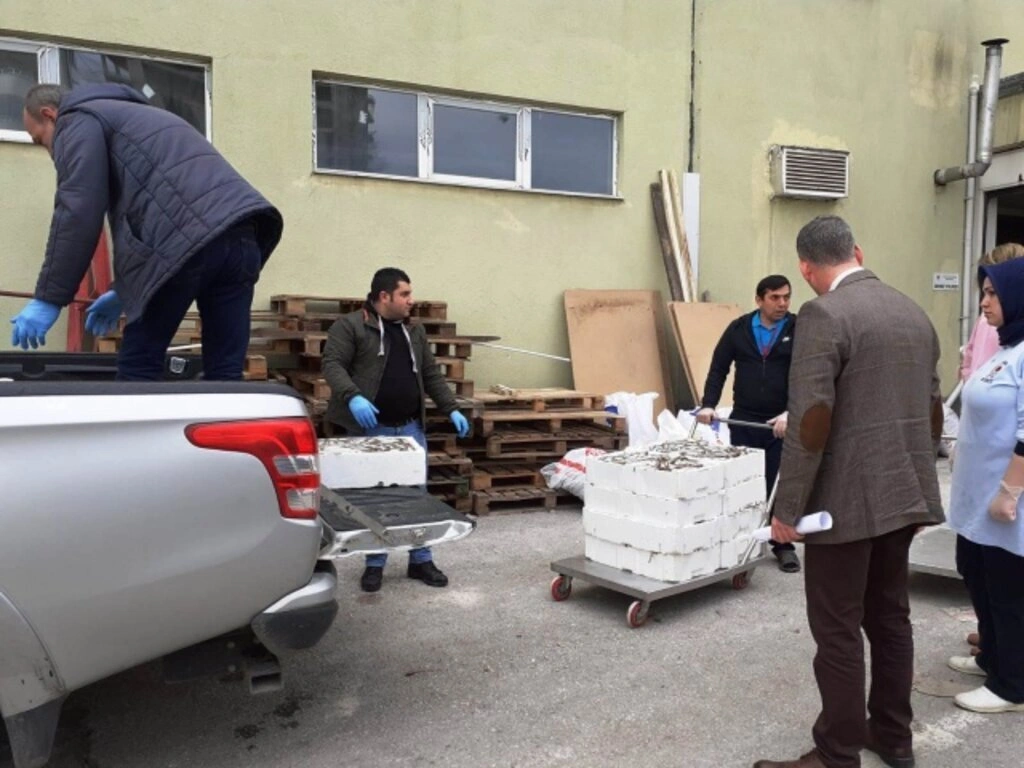 Yasa dışı Su Ürünleri Avcılığıyla Mücadele Denetimleri